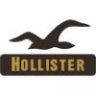 HollisterFitch